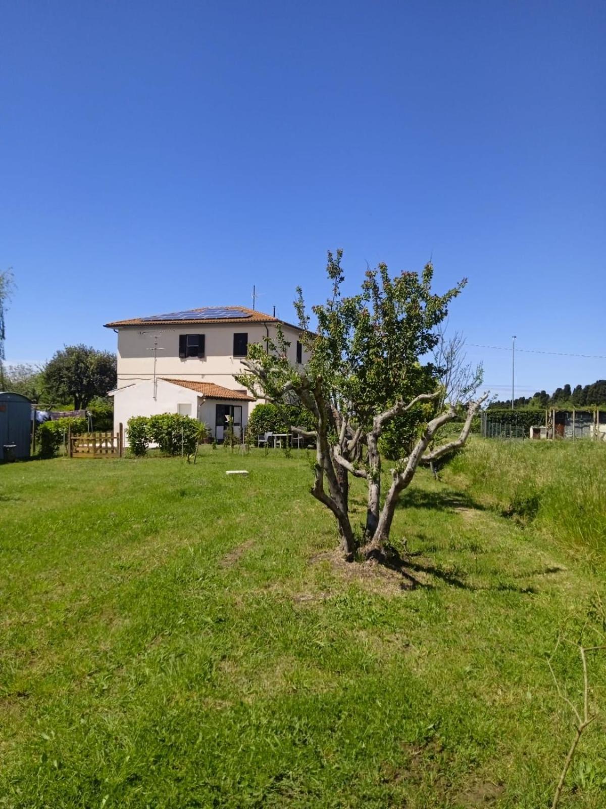 Rosignano Marittimo Rosa Bianca Apartment Exterior photo